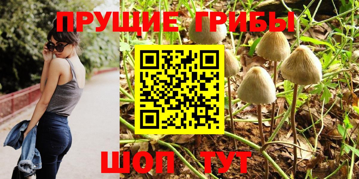 Галлюциногенные грибы ЛСД  Галлюциногенные грибы Psilocybine cubensis  Вход с VPN  Саров 